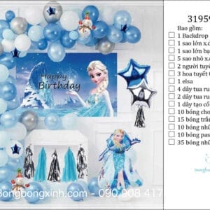 Set trang trí sinh nhật chủ đề ngựa công chúa Elsa BBX586