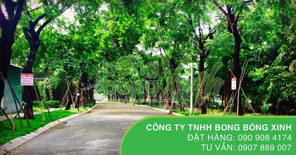 Trang trí bong bóng tại khu du lịch The BCR - 002