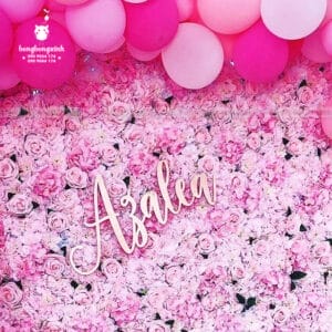 Backdrop sinh nhật đẹp màu hồng BBBN152
