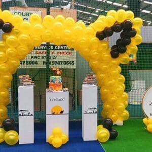 Bàn quà sinh nhật Vua sư tử BBX396