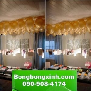 Bong bóng bay BB033