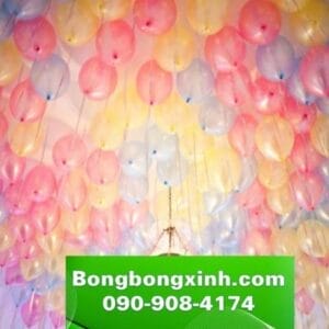 Bong bóng bay BB042
