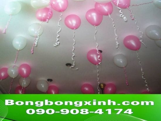 Bong bóng bay BB056 Bong bóng bay BB056