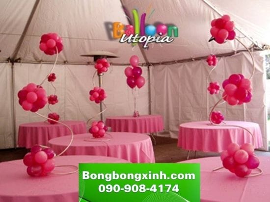 Bóng bàn tiệc 031 Bóng bàn tiệc 031