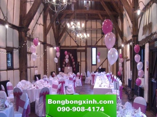 Bóng bàn tiệc 033 Bóng bàn tiệc 033