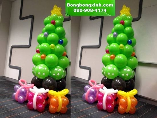 Cây thông Cây thông