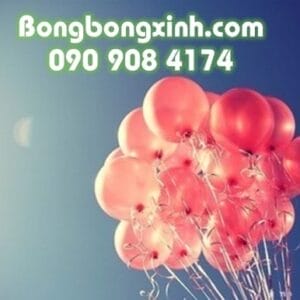 Bong bóng bay BB068