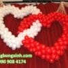 Trái tim 011