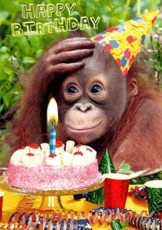 Ảnh sinh nhật vui vẻ, hài hước