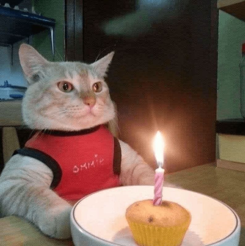 Hình ảnh cmsn đẹp