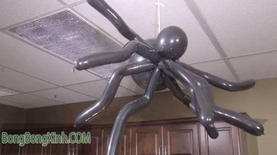 Bong bóng tạo hình con nhện TH080 bong bong tao hinh con nhen th080