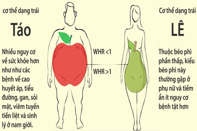 Cách xem chỉ số BMI khoa học chính xác cho bạn Thân hình