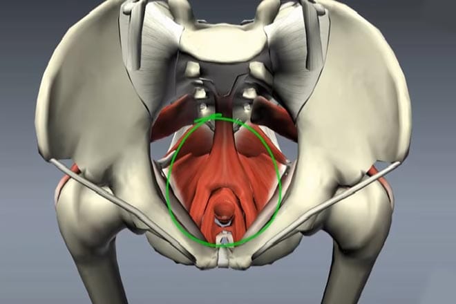 Tập kegel tốt cho sức khỏe của bạn như thế nào? Sàn chậu
