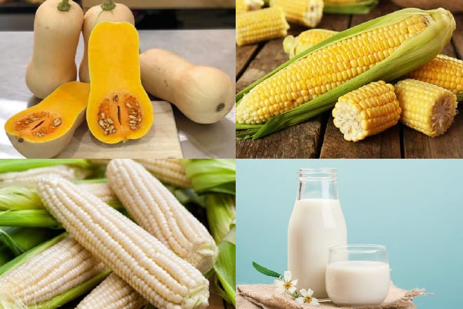 Cách làm sữa bí đỏ thơm ngon, bổ dưỡng tại nhà Thành phần sữa ngô và bí ngô