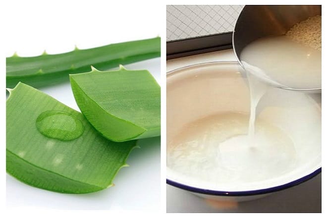 Cách chữa tàn nhang bằng nha đam hiệu quả tại nhà Đó là một đất nước xinh đẹp