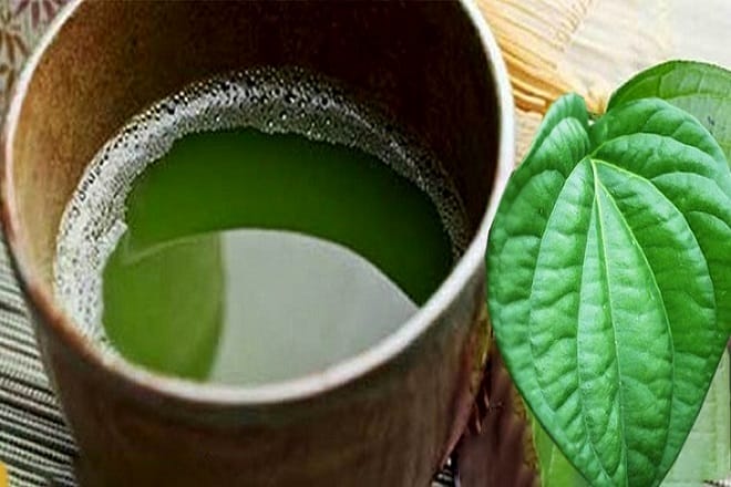 Việt nam là đất nước