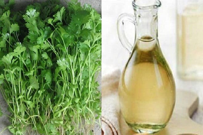 Trị tàn nhang bằng rau mùi và giấm