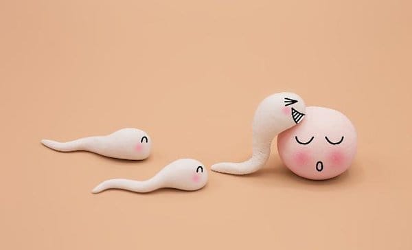 5 đặc điểm phụ nữ có khả năng thụ thai amp; # 34; siêu nhạy cảm; # 34 ;, không lo vô sinh