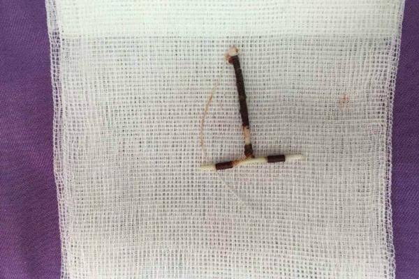 Trang trí bong bóng | Dịch vụ tạo hình bong bóng xinh nghệ thuật