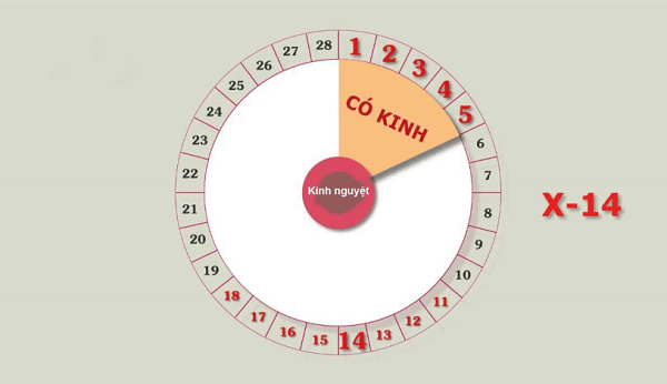 Phương pháp ngừa thai an toàn, hiệu quả, kéo dài và ít tác dụng phụ - 3