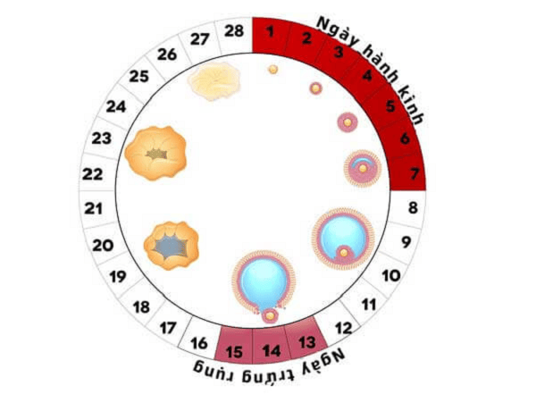 Cách quan hệ tình dục vợ chồng nhanh và hiệu quả nhất - 1