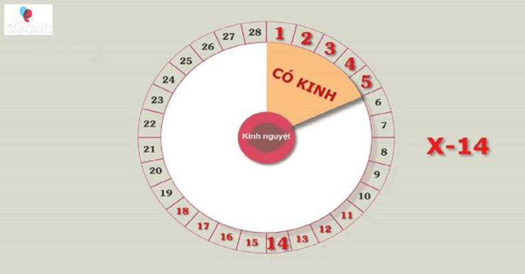 hai min 1567698268 76 width1200height628 watermark