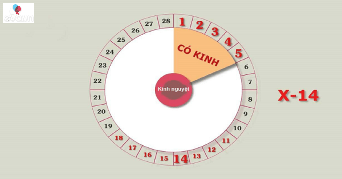 Phương pháp ngừa thai an toàn, hiệu quả, lâu dài, ít tác dụng phụ hai min 1567698268 76 width1200height628 watermark