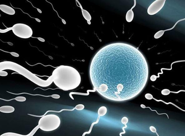 Trang trí bong bóng | Dịch vụ tạo hình bong bóng xinh nghệ thuật