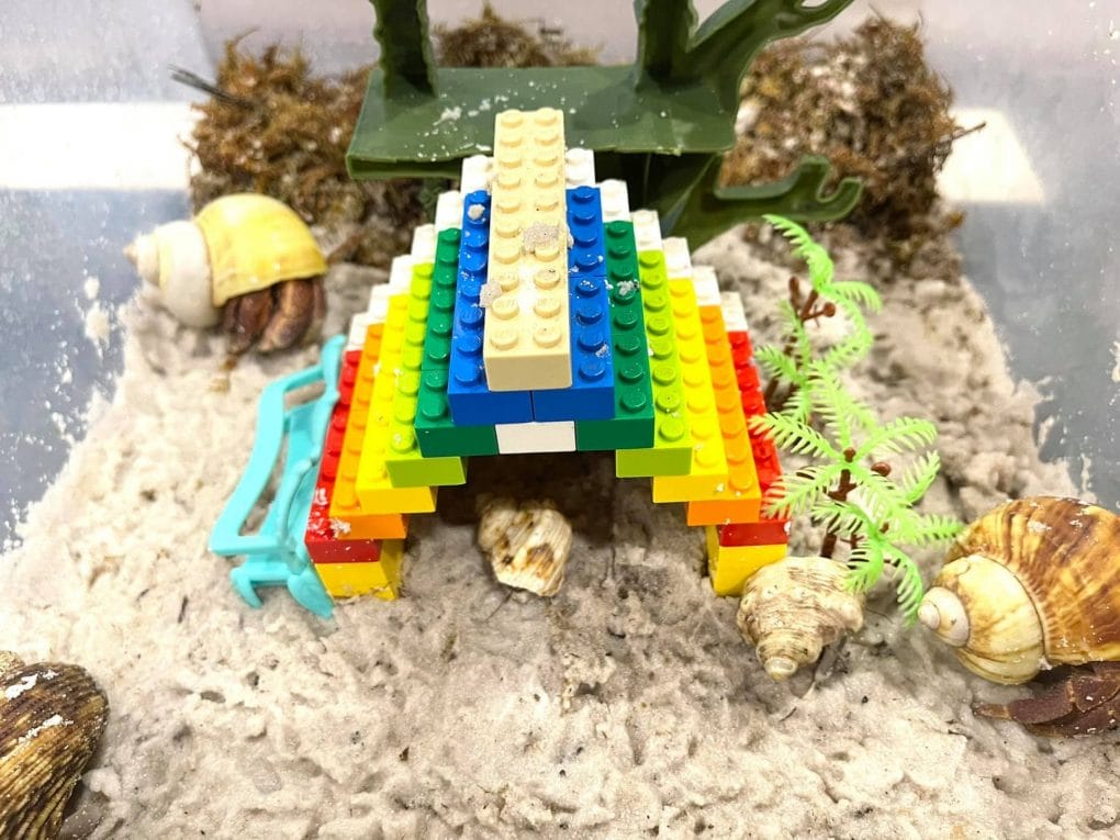 Tia Liễu nhận nuôi một con vật cưng rất lạ tia14 163000471907084679510