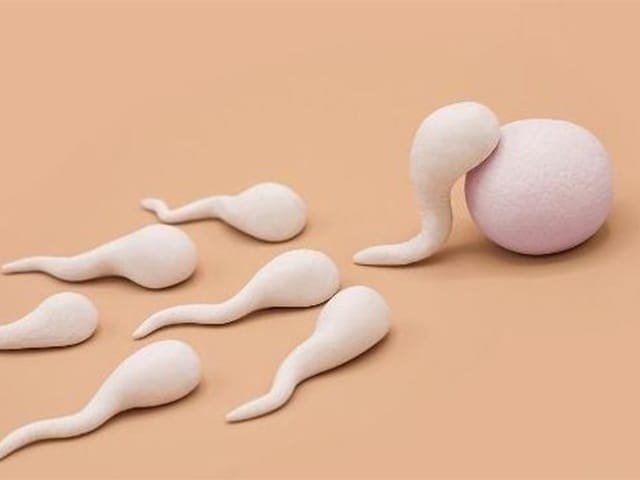 Kết quả của việc tinh trùng vào cơ thể người phụ nữ mà không gặp trứng sẽ như thế nào?  Thảm khốc!  - đầu tiên