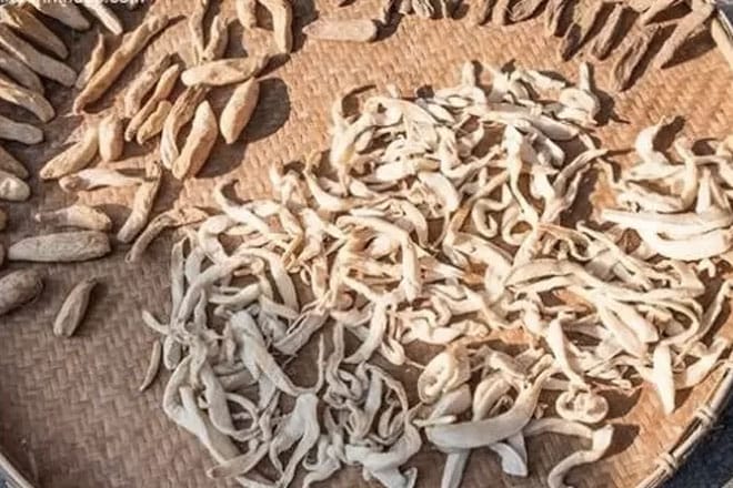 Những lợi ích của củ cải khô là gì? Cách sử dụng và bảo quản được lâu đừng làm điều đó