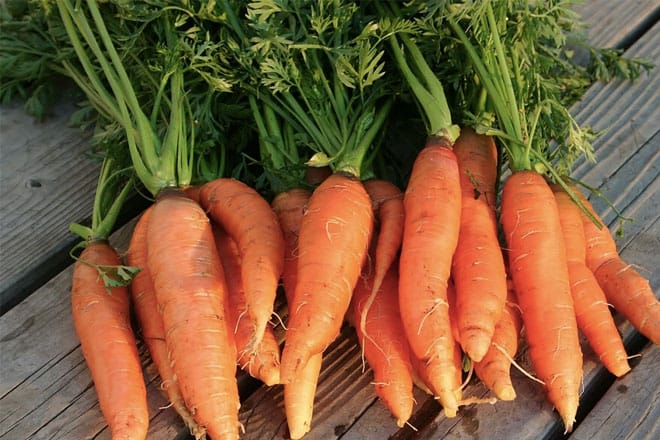 Cách làm mứt cà rốt đơn giản 2022 nội dung của carot