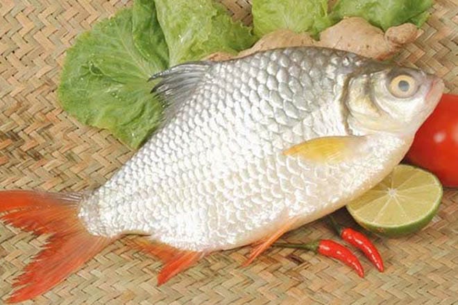 Tết nên ăn món gì để tránh xui xẻo cả năm? ảnh chế