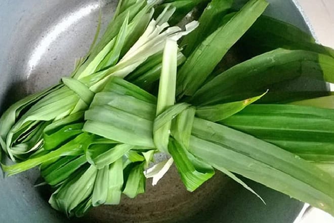 cách chọn là dua nep