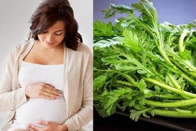 Tôi có một máy chủ