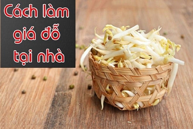 Cách làm giá đỗ xanh