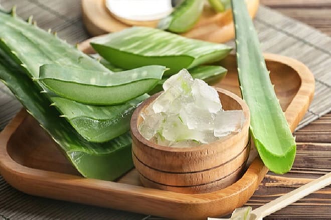 9 cách hết thâm môi nhanh chóng tại nhà chỉ sau 1 đêm Nha đam chữa môi thâm