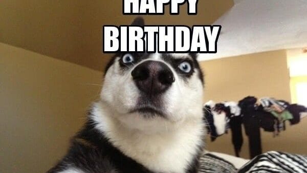 Ảnh sinh nhật độc