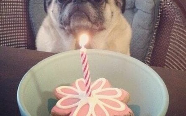 Ảnh chúc mừng sinh nhật độc