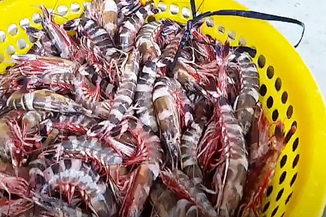 Tôm sắt thơm ngon